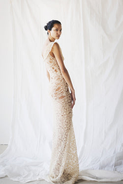 Draped Lace Dress image