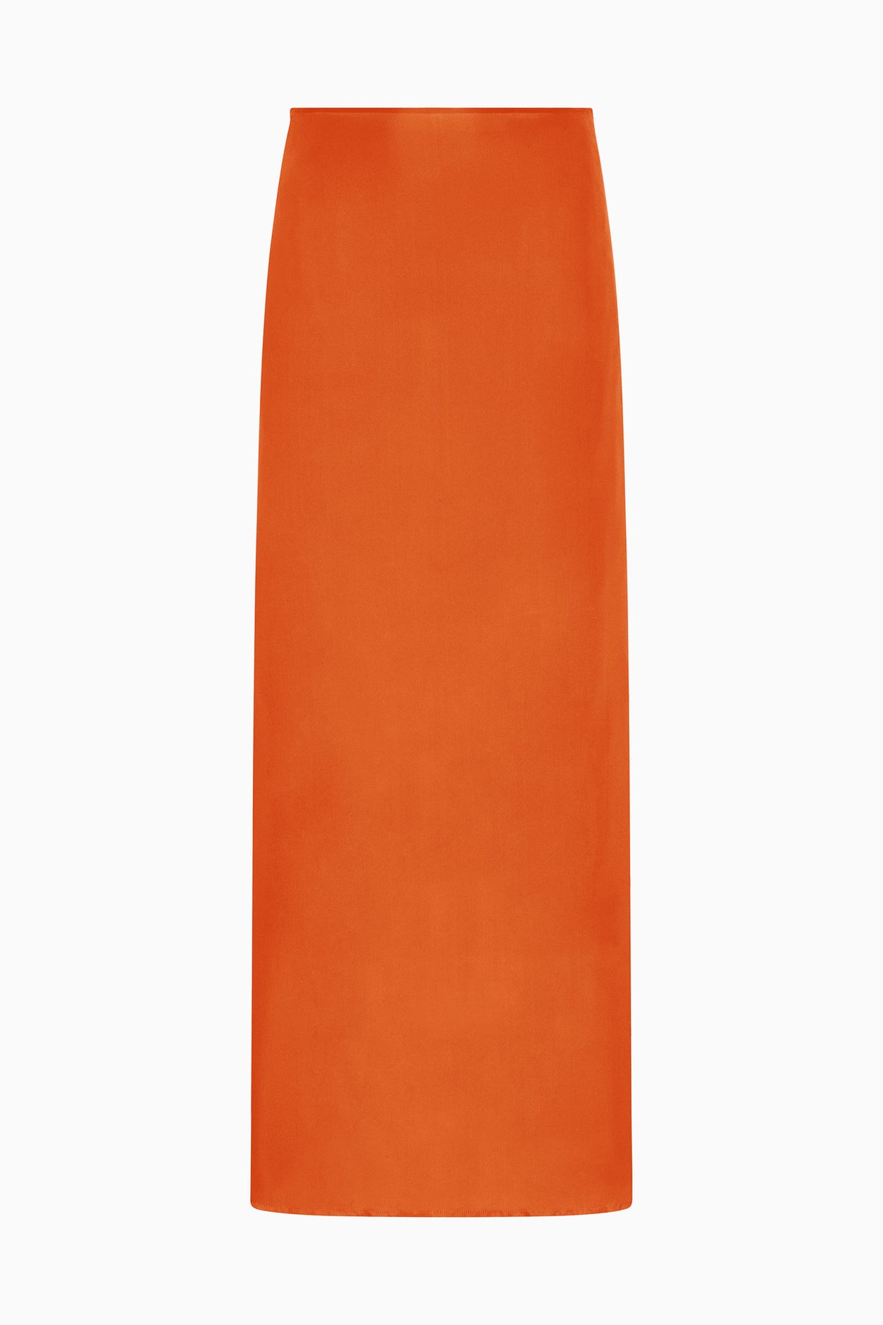 Slip Skirt image