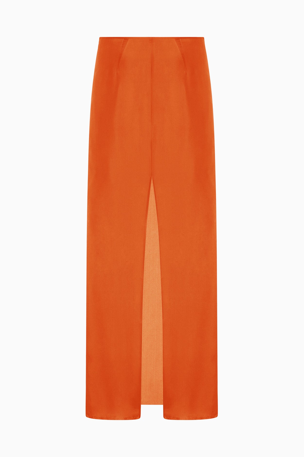 Slip Skirt image